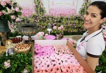 O que não te contaram sobre a mesa de doces da sua festa O que não te contaram sobre a mesa de doces da sua festa